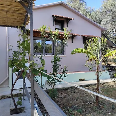 Nyaraló Olea